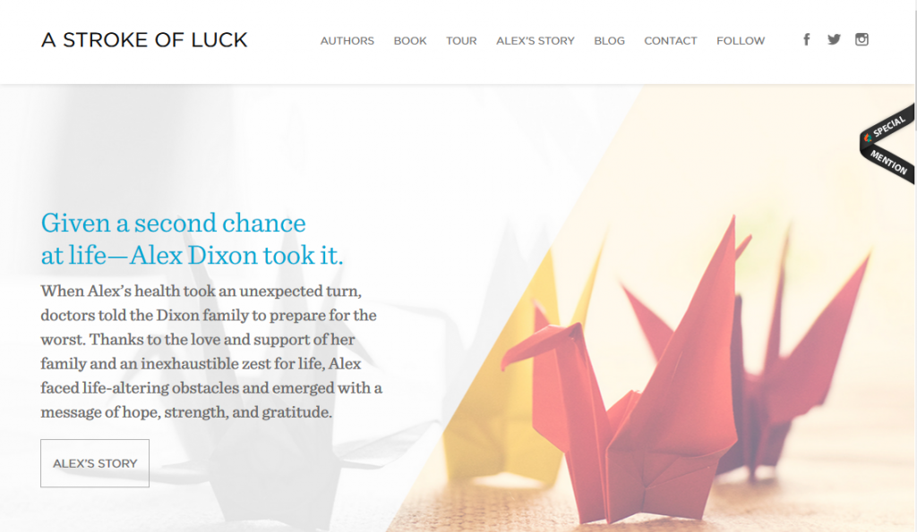 Example of Minimalist Site